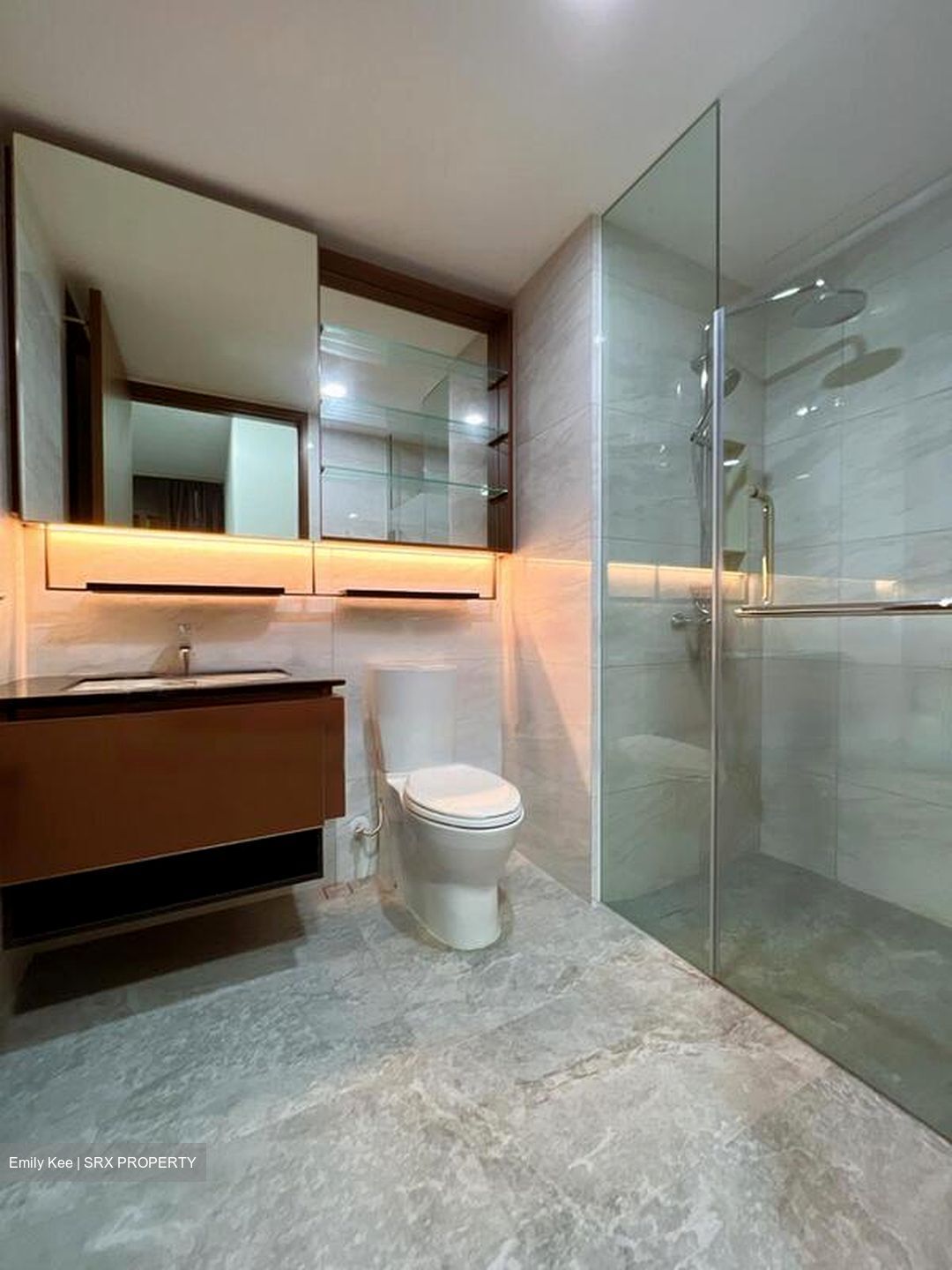 Normanton Park (D5), Apartment #471320771